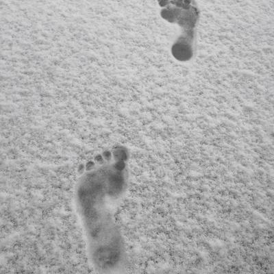 wanderwoman@don.linxx.net